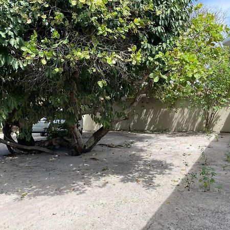 Recanto Das Aroeiras Alcobaça Exteriör bild